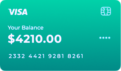 VISA Card Balance $4210.00